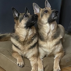 Fundraising Page: Pat Johnson